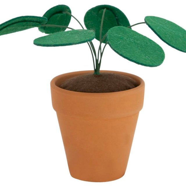 plante en feutrine dans un pot